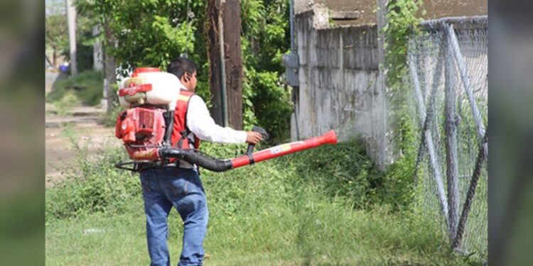 Reporta Salud Federal 84 casos de Dengue en Tamaulipas, y ninguno de zika o chinkunguya