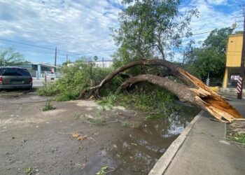 Tormenta deja afectaciones en Nuevo Laredo