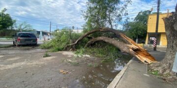 Tormenta deja afectaciones en Nuevo Laredo