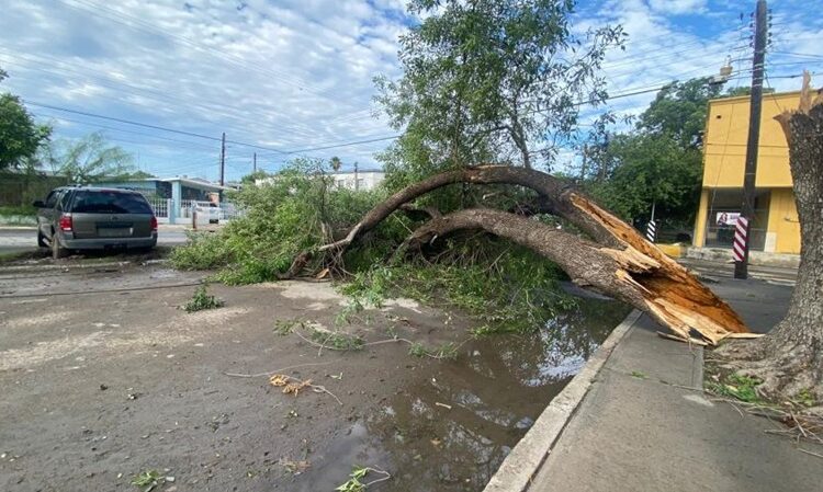 Tormenta deja afectaciones en Nuevo Laredo