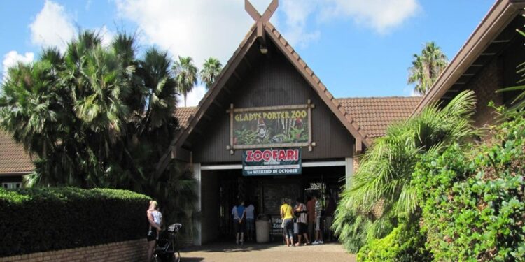 Logra Gladys Porter Zoo de Brownsville la acreditación AZA