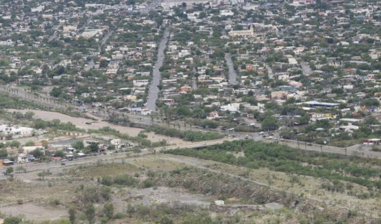 Cortaran las alas a Paloma Guillen
