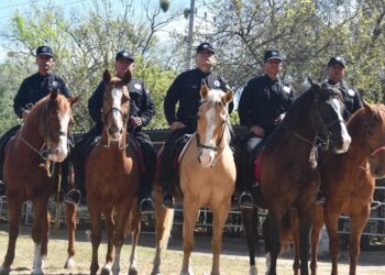 Agrupamiento montado de la Guardia Estatal mantiene proximidad permanente