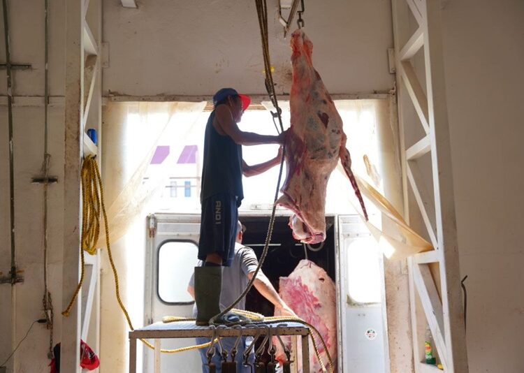 Brinda Rastro Municipal sacrificios de ganado a bajo costo