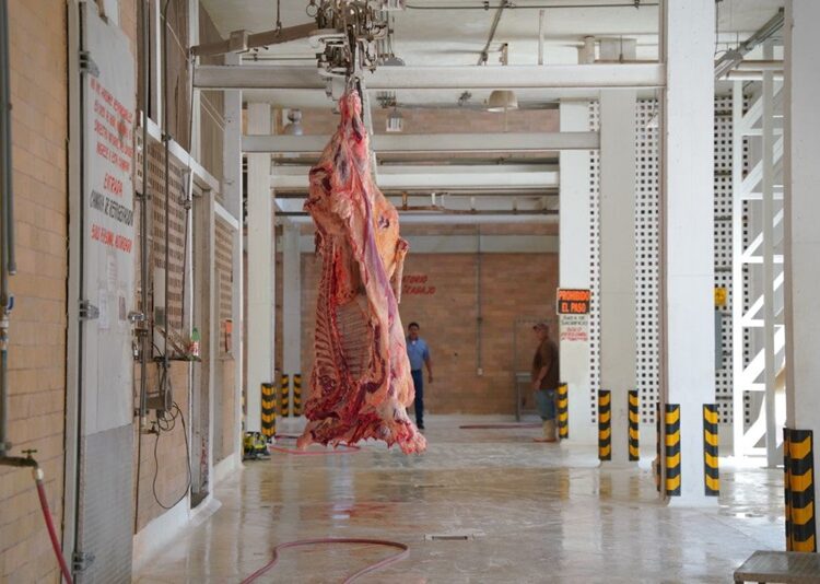 Brinda Rastro Municipal sacrificios de ganado a bajo costo