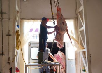 Brinda Rastro Municipal sacrificios de ganado a bajo costo