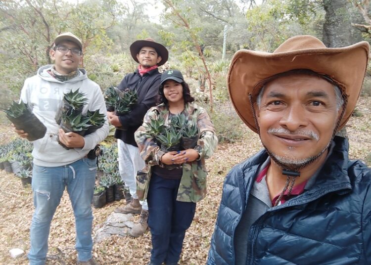 Busca la UAT preservar la genética de especies de maguey