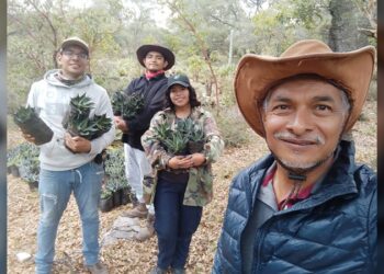 Busca la UAT preservar la genética de especies de maguey
