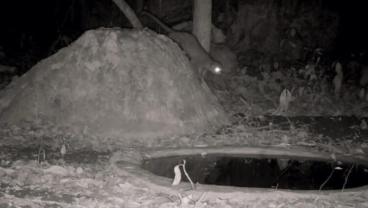 Fortalece Comisión de Parques instalación de bebederos en zonas serranas