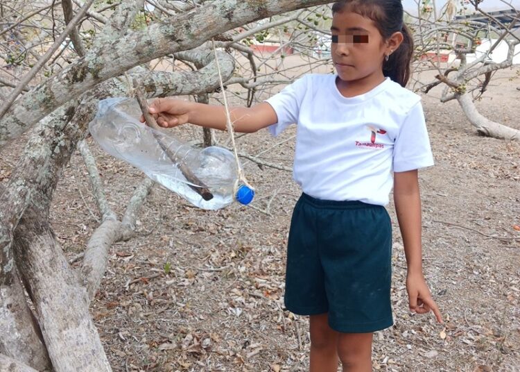Elaboran niñas y niños bebederos para aves con material reciclable