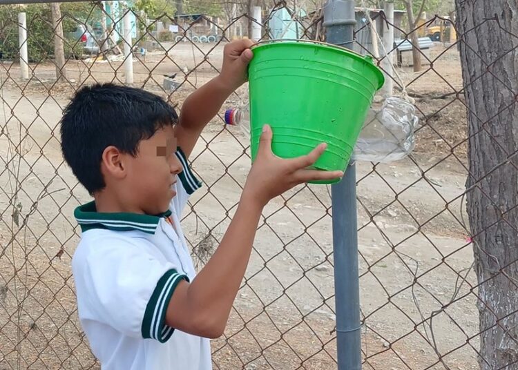 Elaboran niñas y niños bebederos para aves con material reciclable