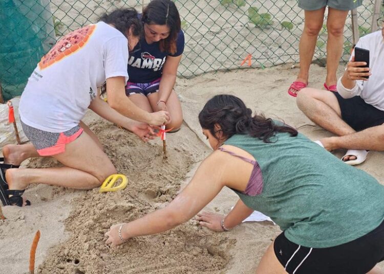 Colabora la UAT en el proyecto de conservación de la tortuga lora