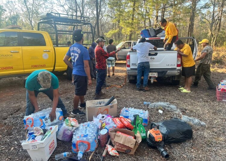 Colaboran brigadistas de la SEDUMA en contención de incendio forestal en Jaumave