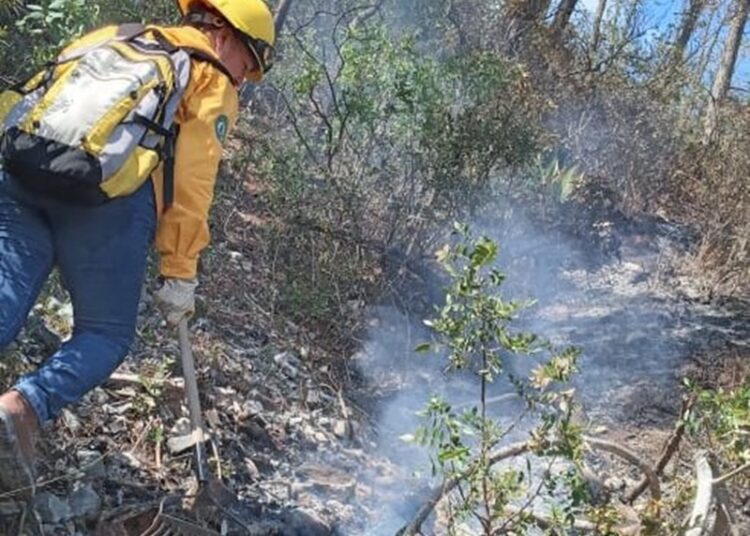 Colaboran brigadistas de la SEDUMA en contención de incendio forestal en Jaumave