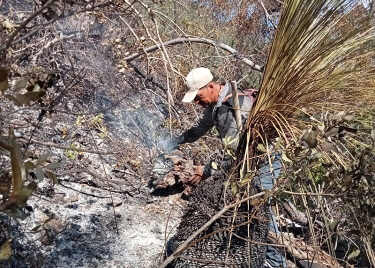 Colaboran brigadistas de la SEDUMA en contención de incendio forestal en Jaumave