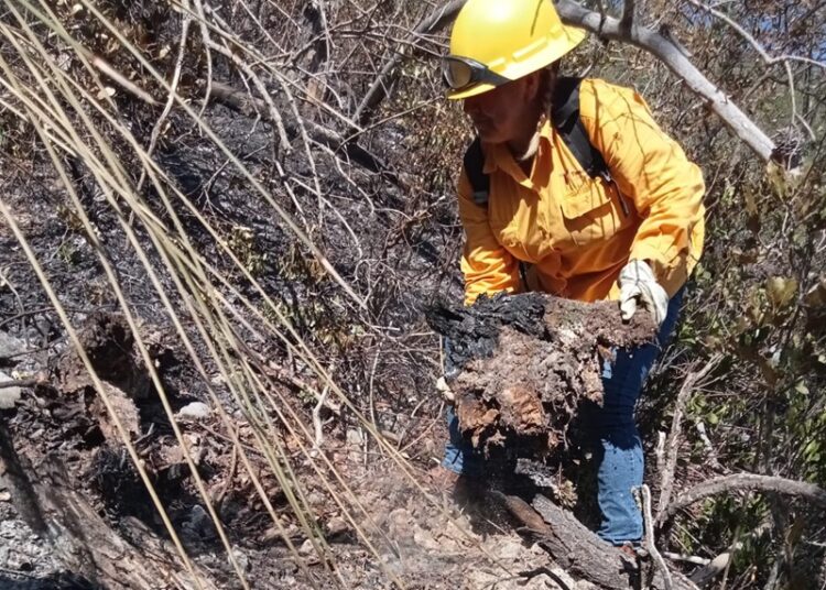 Colaboran brigadistas de la SEDUMA en contención de incendio forestal en Jaumave
