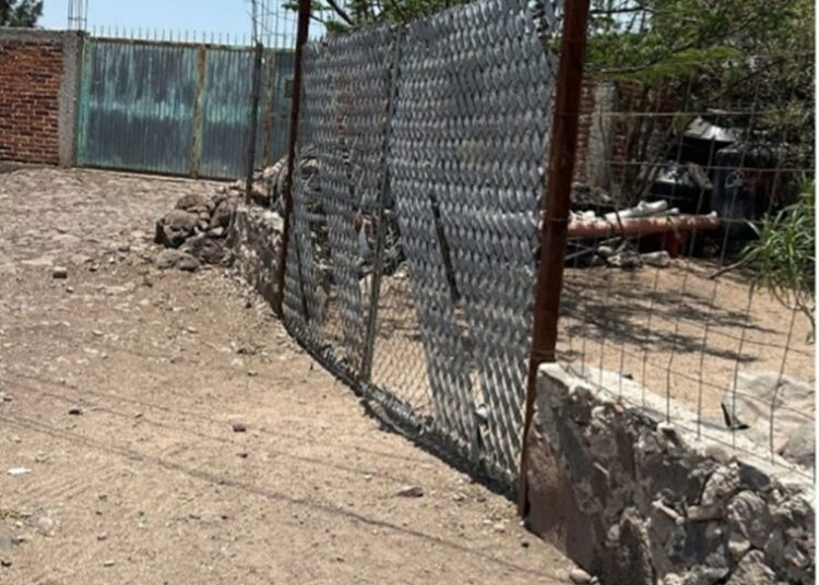 Comprueba PROFEPA que no hay tala ilegal en Irapuato