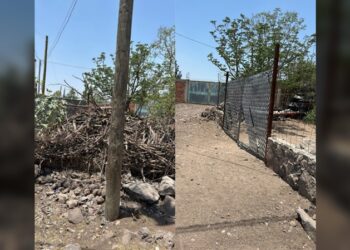 Comprueba PROFEPA que no hay tala ilegal en Irapuato