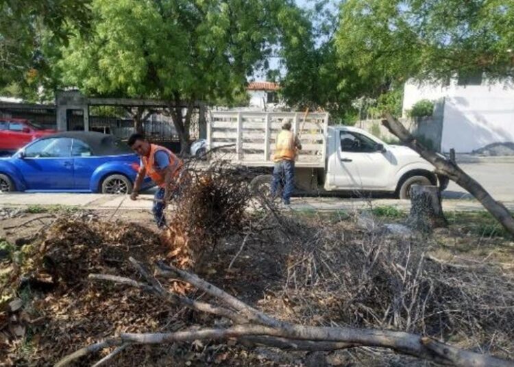 Con más y mejores servicios públicos luce Victoria otra imagen