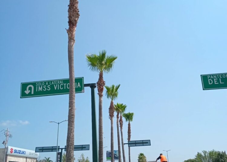 Con más y mejores servicios públicos luce Victoria otra imagen