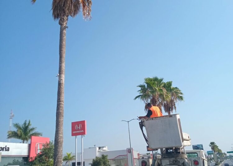 Con más y mejores servicios públicos luce Victoria otra imagen