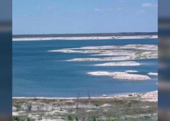 Consternación agrícola en Rio Grande Valley