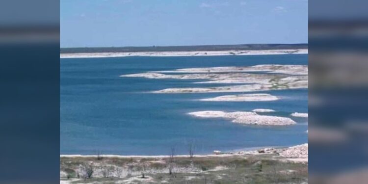 Consternación agrícola en Rio Grande Valley