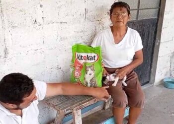 Continua la entrega de croquetas para perritos y gatitos en la Zona Conurbada