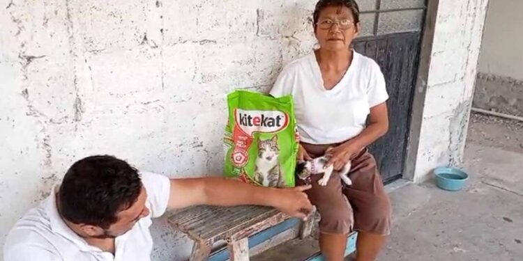 Continua la entrega de croquetas para perritos y gatitos en la Zona Conurbada