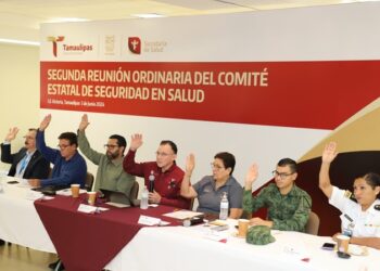 Define Comité Estatal de Seguridad en Salud estrategias para prevenir enfermedades