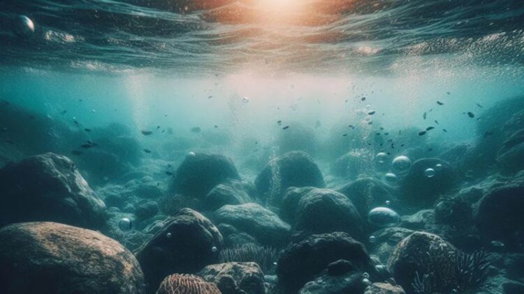 08 de junio, ‘Día Mundial de los Océanos’ 2024