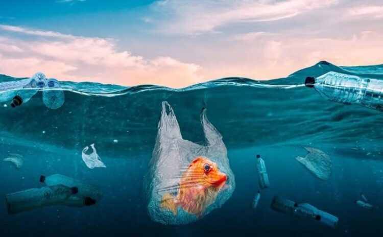 08 de junio, ‘Día Mundial de los Océanos’ 2024