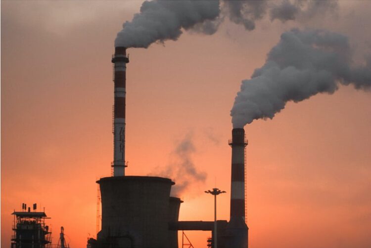 05 de junio, ‘Día Mundial del Medio Ambiente’ 2024