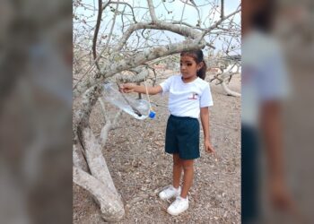 Elaboran niñas y niños bebederos para aves con material reciclable