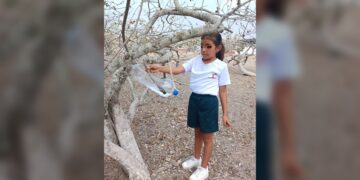 Elaboran niñas y niños bebederos para aves con material reciclable