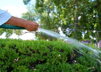 Exhorta Gobierno de NLD a cuidar el agua; aplican multas de más de 10 mil pesos por desperdiciarla