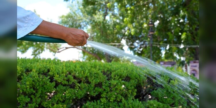 Exhorta Gobierno de NLD a cuidar el agua; aplican multas de más de 10 mil pesos por desperdiciarla