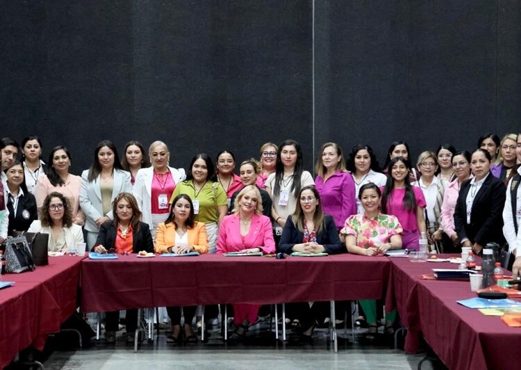 Contribuye Instituto de las Mujeres de Tamaulipas al Diagnóstico Nacional sobre la Violencia contra las Mujeres