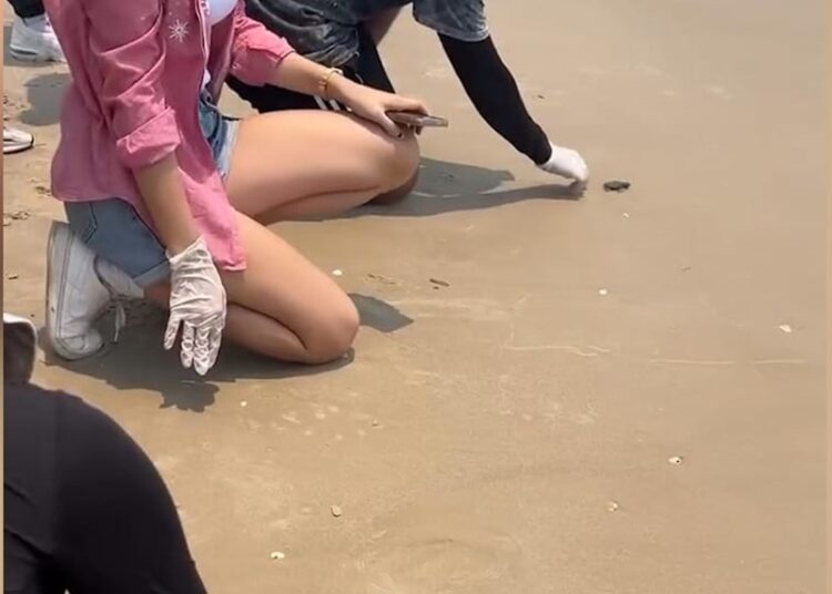 Impulsa la UAT acciones en favor del medio ambiente