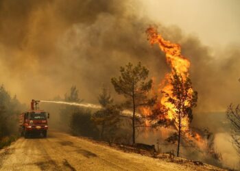 11 muertos y 44 heridos; “Incendios Forestales” afectando a Turquía