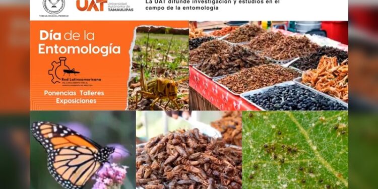 La UAT difunde su investigación y estudios en el campo de la entomología