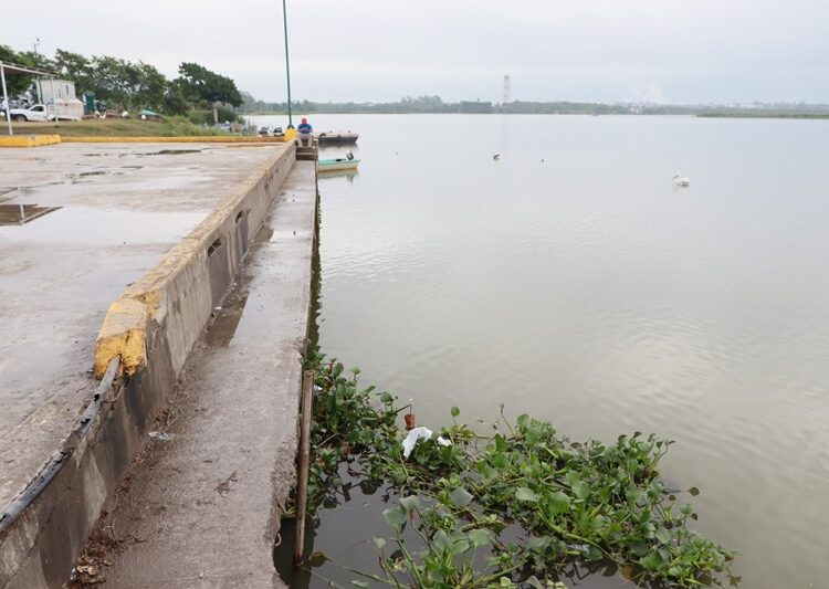 Lluvias que dejará tormenta tropical “Alberto” serán benéficas