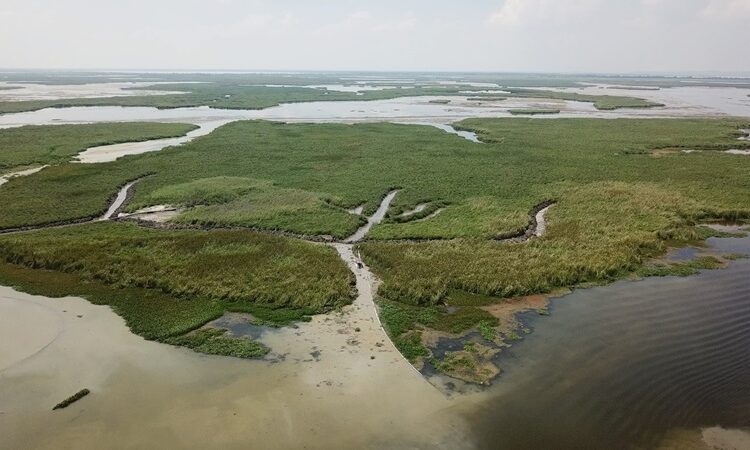 Lluvias que dejará tormenta tropical “Alberto” serán benéficas