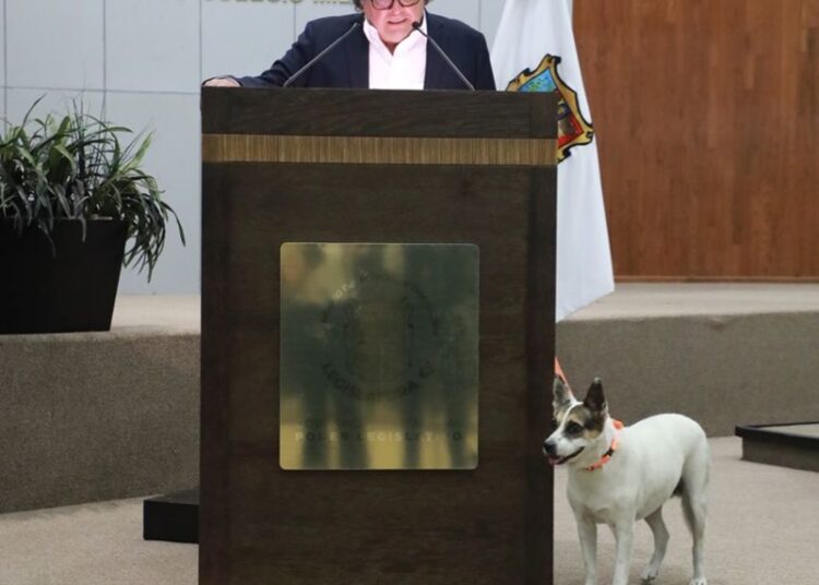 Pide Gustavo Cárdenas que Congreso adopte a “Perritas Guardianas”