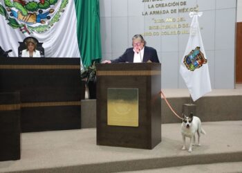 Pide Gustavo Cárdenas que Congreso adopte a “Perritas Guardianas”