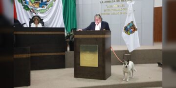 Pide Gustavo Cárdenas que Congreso adopte a “Perritas Guardianas”