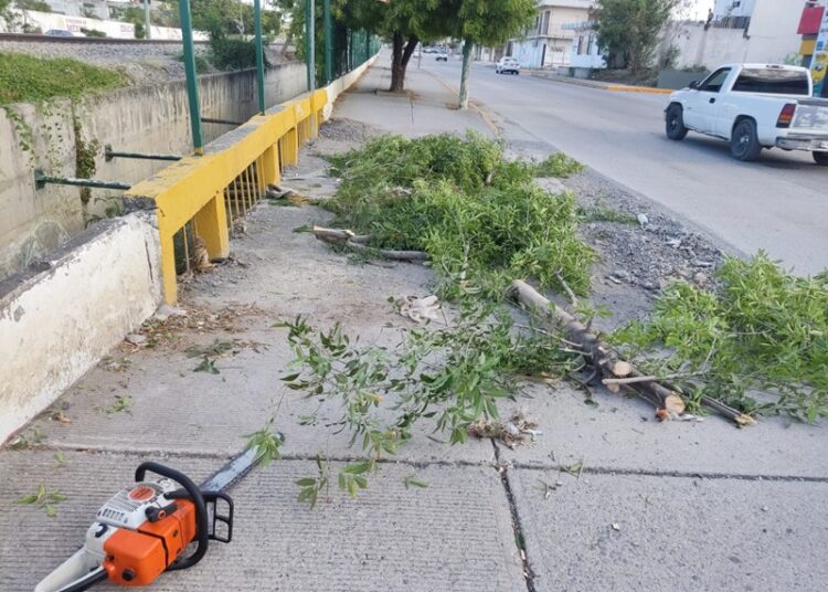 Prepara Municipio acciones preventivas por pronóstico de lluvias intensas