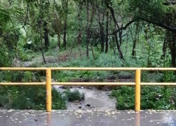 Protección Civil de Victoria realiza rondines permanentes