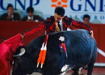 Regresan corridas de toros a Victoria