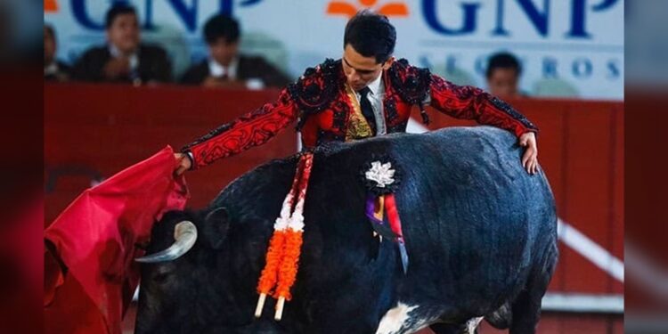 Regresan corridas de toros a Victoria